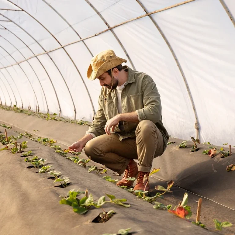 62-service-4